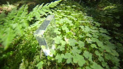 The technology of the future is green eco. forests are clean Video stock 138506382