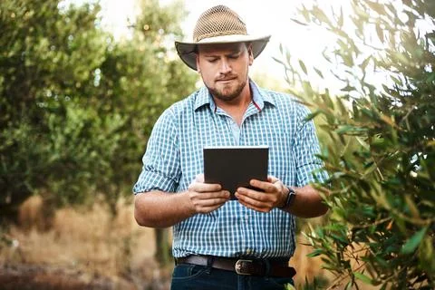 Technology helps to ease his workload. a farmer using a digital tablet working Stock Photos