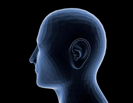 Technology holographic portrait, electronic technology, imaging technology Stock Illustration