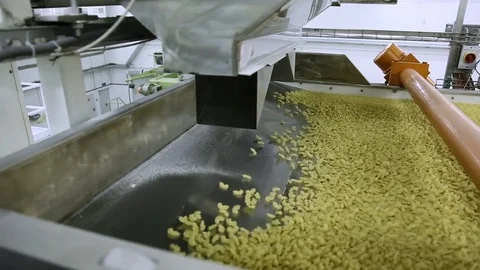 Technology of making pasta Stock Footage 71302582