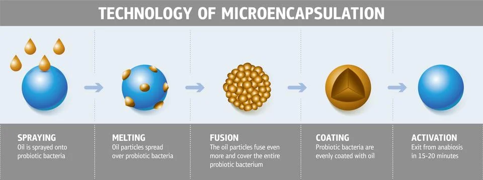 Technology of Microencapsulation Stock-Illustration