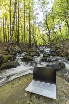 Technology in nature concept image Stock Photos