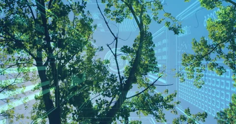 Technology scanning tree branches for environmental data and generating 스톡 동영상 312467330