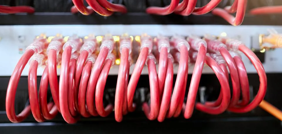 Technology, server room and cables connected to ethernet port or router for 写真素材