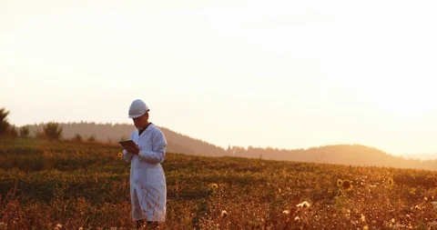 Technology specialist in working uniform browsing digital app on tablet checking Stock Footage 117118279
