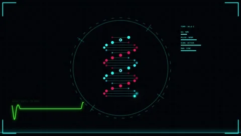 Technology UI, Sci Fi HUD, and Cyber Animation Bundle Stock Footage 343131973