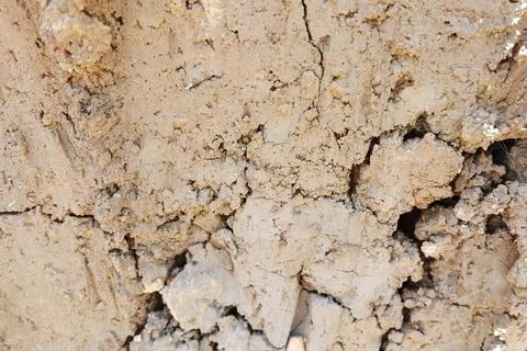 Tecture of clay background, clay in the field Stock Photos