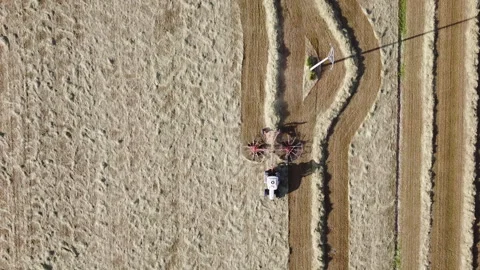 Tedder agricultural machine Stock-Footage 153856857