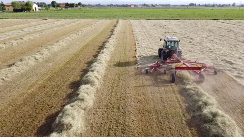 Tedder agricultural machine Vídeo Stock 154064148