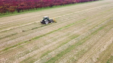 Tedder machinery in action on the ground Stock Footage 163467967