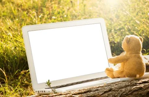 Teddy and Laptop computer Foto stock