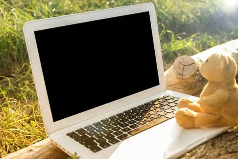 Teddy and Laptop computer Stock Photos