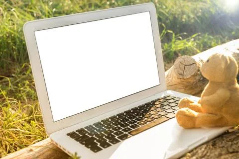 Teddy and Laptop computer Stock Photos