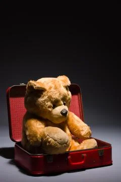 Teddy and suitcase Stock Photos