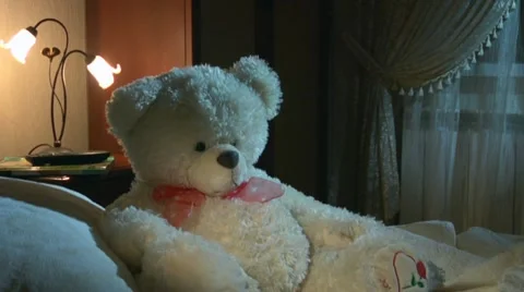 Teddy bear 2 스톡 동영상 10919179
