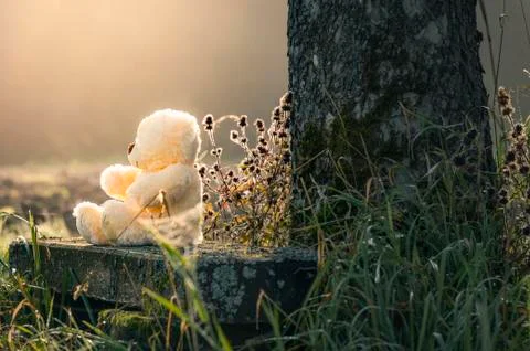 Teddy bear alone on a bench Stock Photos