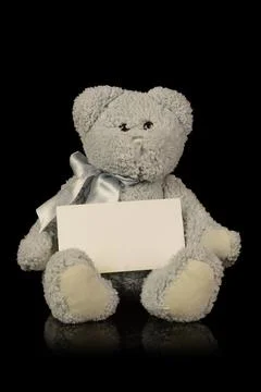Teddy Bear Announcement Stock Photos