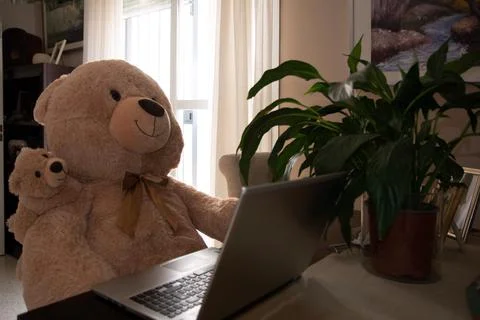 Teddy bear with baby bear telecommuting at home on a laptop Foto stock