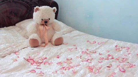 Teddy bear on the bed in petals wedding roses Stock Footage 64627694