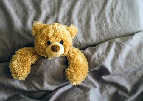 Teddy bear on the bed Stock Photos