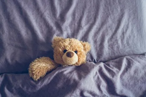 Teddy bear on the bed Stock-Fotos