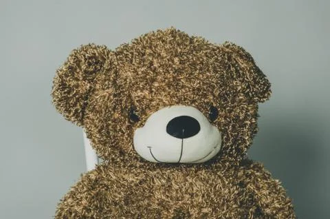 Teddy Bear. Brown teddy bear on gray background. A plush brown shot in a phot Foto stock