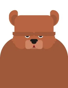 Teddy bear cartoon face isolate. Animal vector illustration Stock Illustration