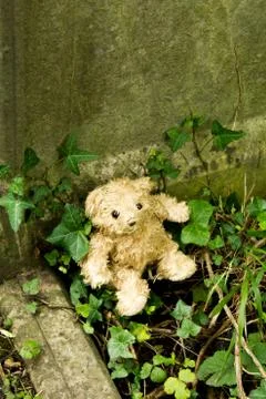 A Teddy Bear in a Cemetery. Stock Photos
