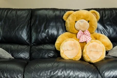 Teddy bear in couch Stock Photos