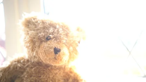 Teddy bear dream sequence high key, 4k, UHD 스톡 동영상 86286604