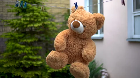 A teddy bear is dried on a rope. Bear is hanging outdoors. Clothespin on the ear Stock Footage 130980237