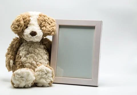 Teddy bear with empty picture frame Stock Photos