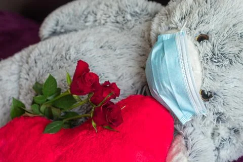 Teddy bear face mask Stock Photos