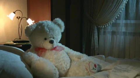 Teddy bear 库存影片 10919176