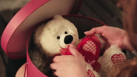 Teddy bear Stock Footage 133537813