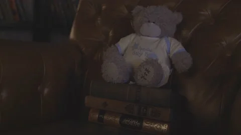 Teddy bear Video stock 231553808