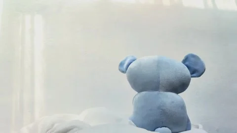 Teddy bear Stock Footage 250160180