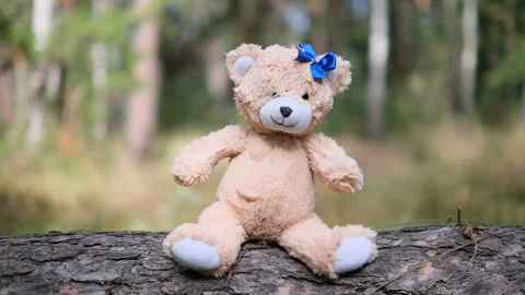 Teddy bear in the forest is sitting Stock Footage 167472123