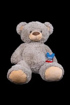 Teddy bear with gift box of wedding rings on black background, isolated Foto stock