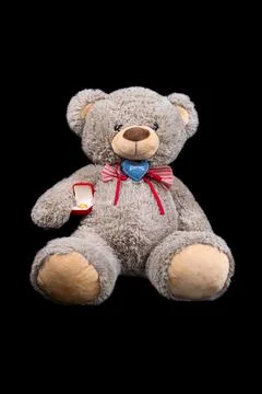 Teddy bear with gift box of wedding rings on black background, isolated Stock Photos