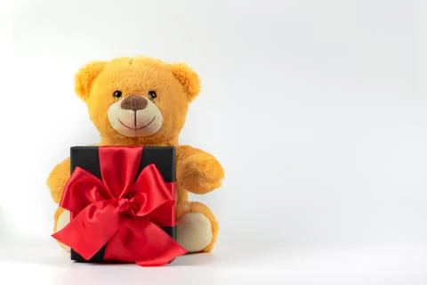 Teddy bear with a gift Stock Photos