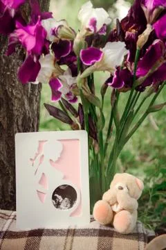 Teddy bear on the grass with flowers. Stock Photos