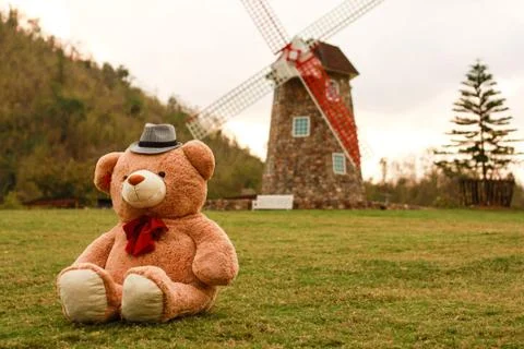 Teddy bear in grass Stock Photos