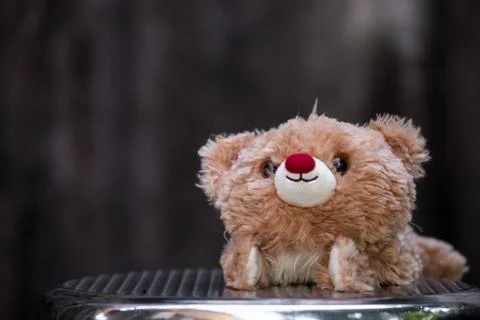 Teddy bear with gray background. Foto stock