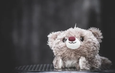 Teddy bear with gray background. Stock Photos