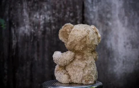 Teddy bear with gray background. Stock Photos