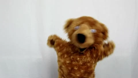 Teddy Bear Hand Puppet 스톡 동영상 132594027