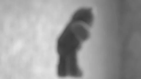 Teddy bear hanging Stock Footage 131373427