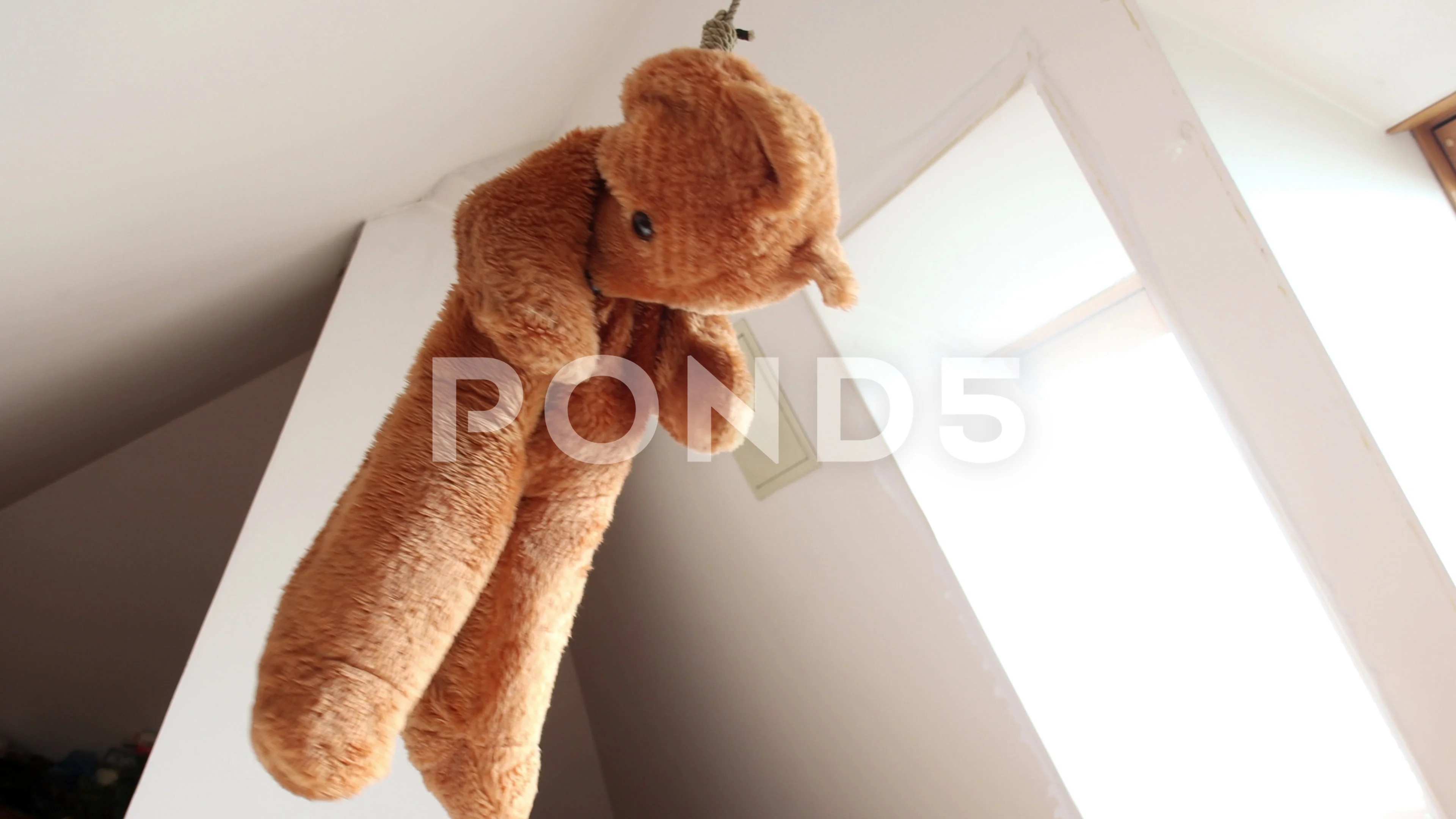 Hanging store teddy bear