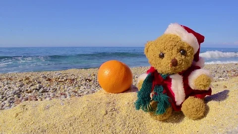Teddy bear in hat santa hat with orange on sea beach turquoise waves Stock Footage 118440571
